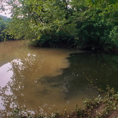 Big South Fork of the Cumberland at Station Camp Crossing